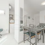 Apartment La Fontana 33 Sul Lungomare Di Campo *